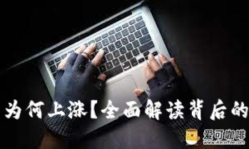 虚拟币价格为何上涨？全面解读背后的因素与趋势