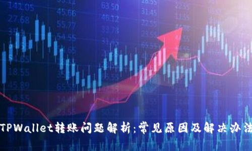 TPWallet转账问题解析：常见原因及解决办法