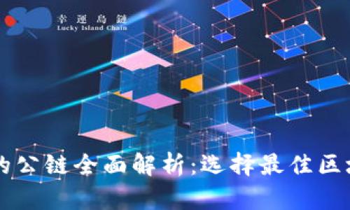 TPWallet支持的公链全面解析：选择最佳区块链钱包的指南