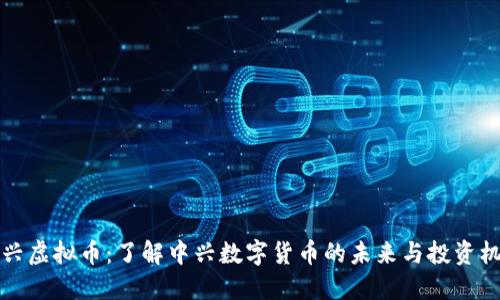中兴虚拟币：了解中兴数字货币的未来与投资机会