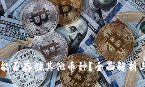 TPWallet能否存储其他币种？全面解析与使用指南