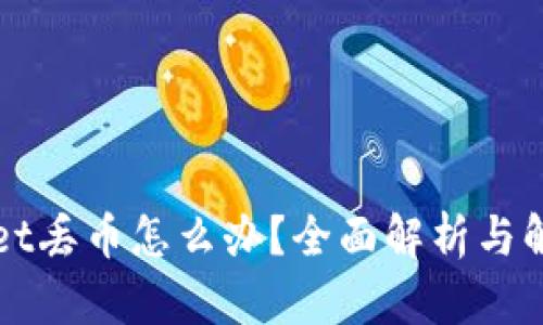 TPWallet丢币怎么办？全面解析与解决方案