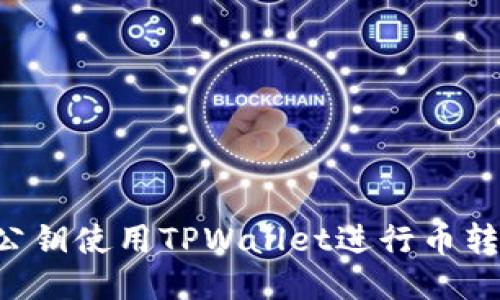 如何通过公钥使用TPWallet进行币转：全面指南