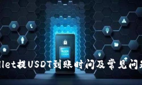 tpwallet提USDT到账时间及常见问题解析