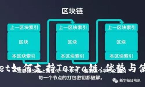 TPWallet如何支持Terra链：优势与使用指南