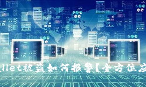 : tpwallet被盗如何报警？全方位应对策略