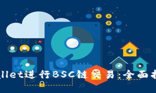 如何选择TPWallet进行BSC链交易：全面指南与实用技巧