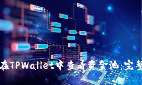 如何在TPWallet中查看资金池：完整指南