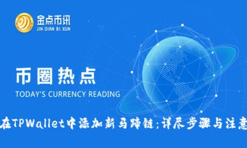 如何在TPWallet中添加新马蹄链：详尽步骤与注意事项