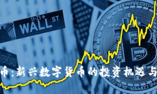 UPA虚拟币：新兴数字货币的投资机遇与风险解析