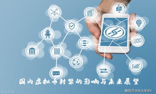 国内虚拟币封禁的影响与未来展望