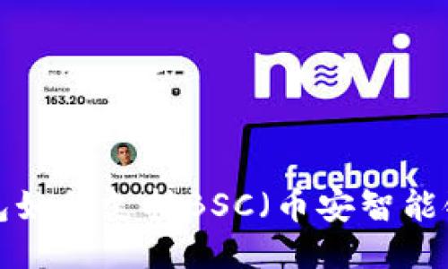 TP桌面版钱包如何支持BSC（币安智能链）：全面指南