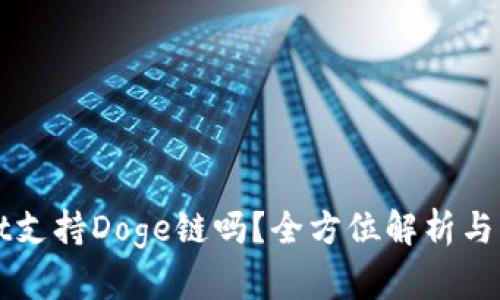 TPWallet支持Doge链吗？全方位解析与用户指南
