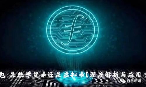 vpay钱包：是数学货币还是虚拟币？深度解析与应用案例分析