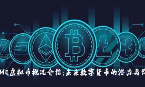 DOME虚拟币概况介绍：未来数字货币的潜力与价值