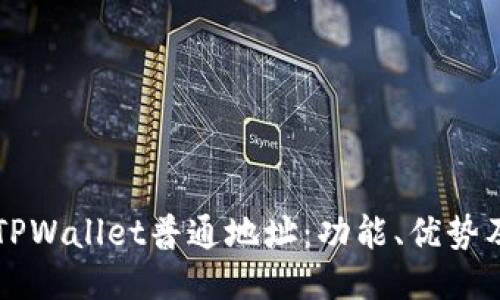 深入探讨TPWallet普通地址：功能、优势及使用指南