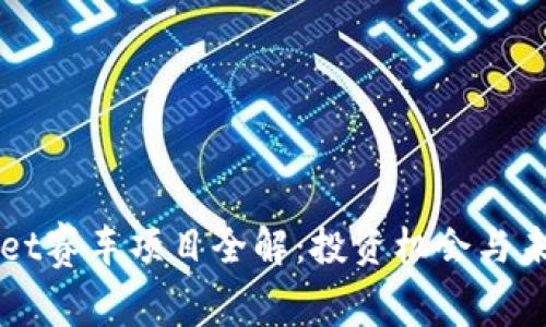 TPWallet赛车项目全解：投资机会与未来展望