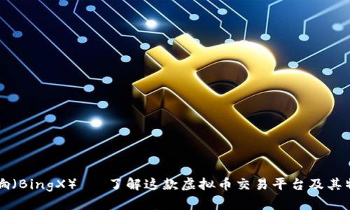 币响（BingX）— 了解这款虚拟币交易平台及其特性