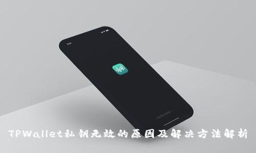 TPWallet私钥无效的原因及解决方法解析