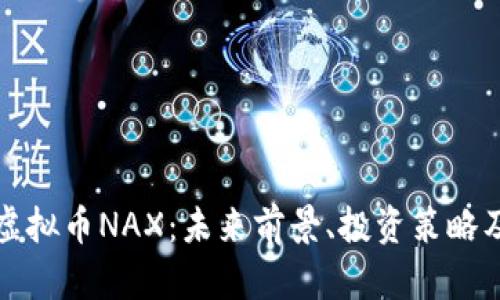 全面解析虚拟币NAX：未来前景、投资策略及市场动态
