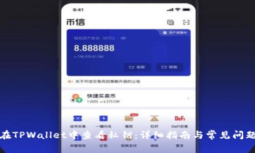 如何在TPWallet中查看私钥：详细指南与常见问题解答