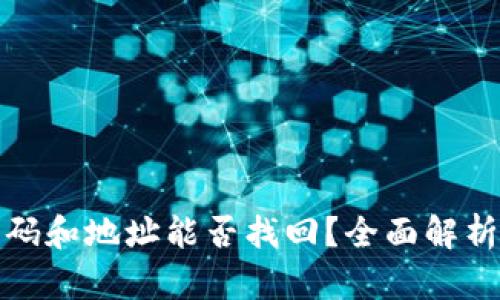 tpwallet密码和地址能否找回？全面解析与应对策略