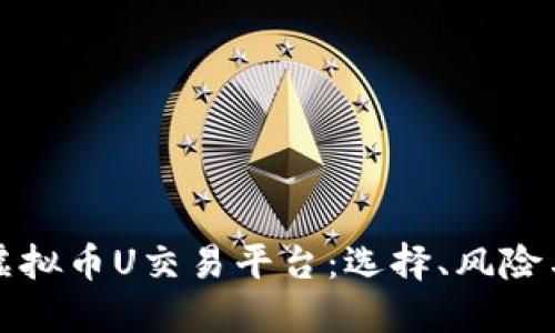 全面解读虚拟币U交易平台：选择、风险与未来发展