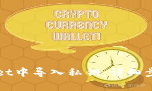 如何在TPWallet中导入私钥：详细步骤与注意事项