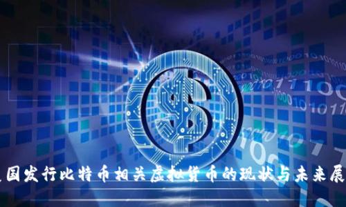 美国发行比特币相关虚拟货币的现状与未来展望