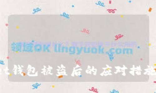 TokenPocket钱包被盗后的应对措施与预防建议