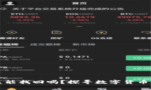 TPWallet币被盗能找回吗？探寻数字货币安全与补救措施