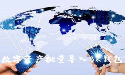 如何将TPWallet中的数字资产批量导入BK钱包：详细教程与注意事项