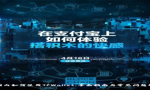 在国内如何使用TPWallet：全面指南与常见问题解答