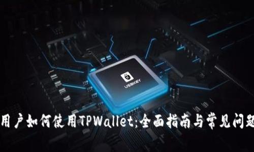 大陆用户如何使用TPWallet：全面指南与常见问题解析