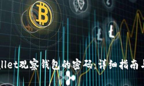 如何找回TPWallet观察钱包的密码：详细指南与常见问题解答
