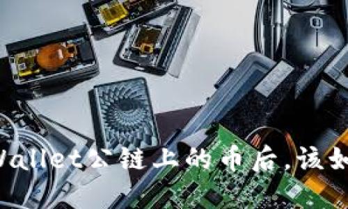 空投TPWallet公链上的币后，该如何使用？