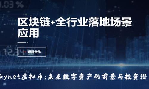 Skynet虚拟币：未来数字资产的前景与投资潜力