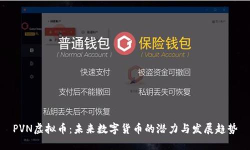 PVN虚拟币：未来数字货币的潜力与发展趋势