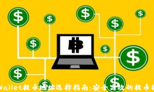 
TPWallet提币地址选择指南：安全高效的提币操作