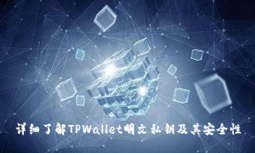 详细了解TPWallet明文私钥及其安全性