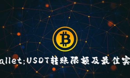 : TPWallet：USDT转账限额及最佳实践指南