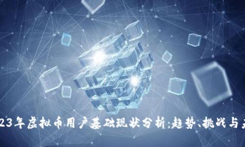 2023年虚拟币用户基础现状分析：趋势、挑战与未来