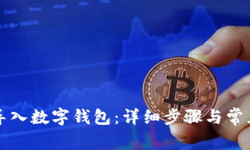 如何将TP导入数字钱包：详细步骤与常见问题解答