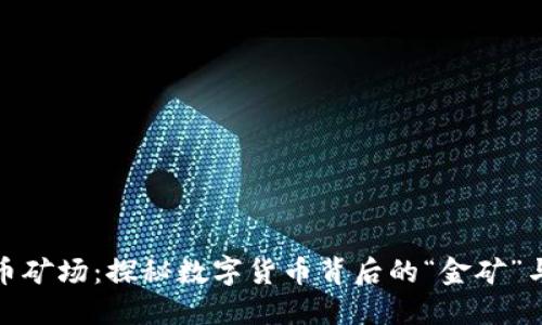 浙江虚拟币矿场：探秘数字货币背后的“金矿”与投资机会