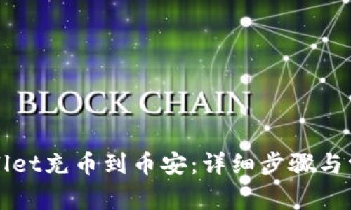 如何将TPWallet充币到币安：详细步骤与常见问题解答