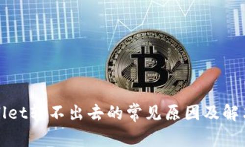 TPWallet转不出去的常见原因及解决方案