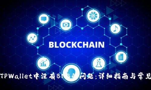 如何解决TPWallet中没有BNB的问题：详细指南与常见问题解答