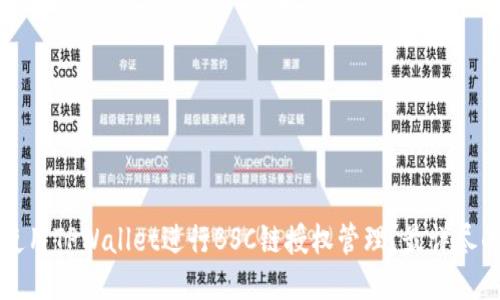 如何使用TPWallet进行BSC链授权管理？最详尽的指南