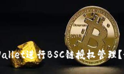 如何使用TPWallet进行BSC链授权管理？最详尽的指南