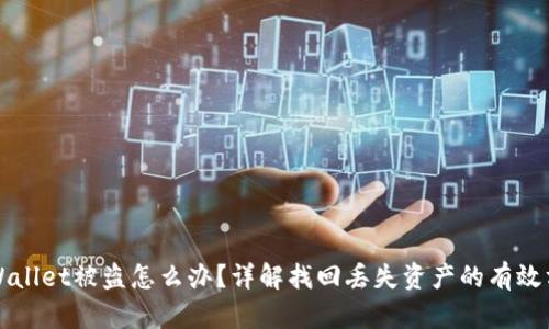 TPWallet被盗怎么办？详解找回丢失资产的有效方法